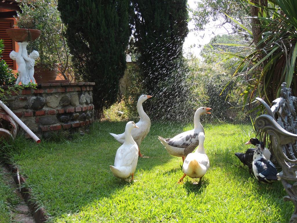 Il Cipresso Del Gallo Montecatini Terme Exterior photo